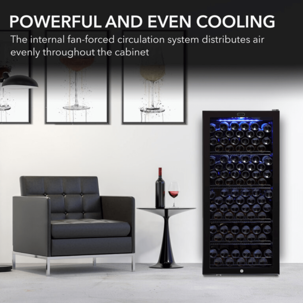 Whynter Wine Coolers Whynter FWC-1201BB 24-inch 124 Bottle Wine Cooler Cabinet